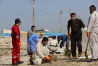 آلودگی نفتی سواحل بوشهر پاکسازی شد