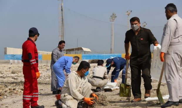 آلودگی نفتی سواحل بوشهر پاکسازی شد آلودگی نفتی سواحل بوشهر پاکسازی شد